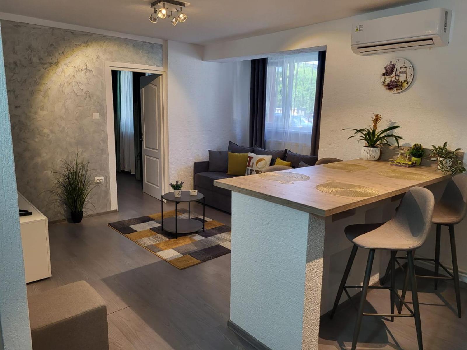 Mona Central Apartment Hunedoara Extérieur photo